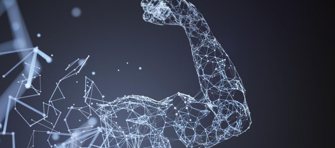 How long does it take to build muscle? – CNET